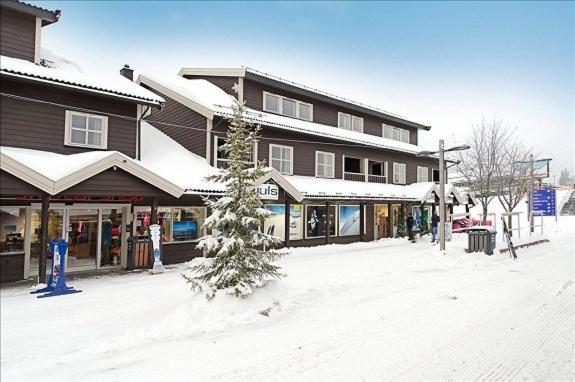 Skitorget Apartments Трисиль Экстерьер фото